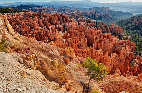 morning over Bryce Canyon National Park