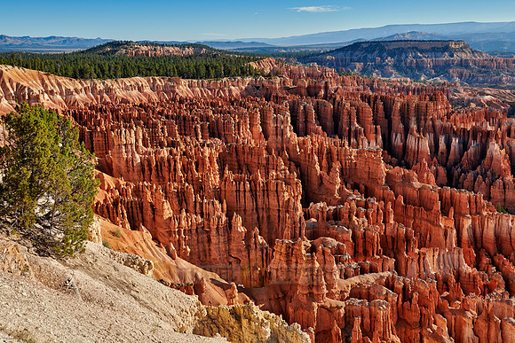 morning over Bryce Canyon National Park