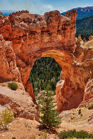 Bryce Natural Bridge, Bryce Canyon