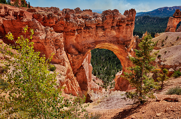 Bryce Natural Bridge, Bryce Canyon