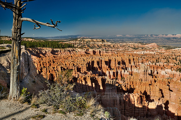 Bryce Canyon