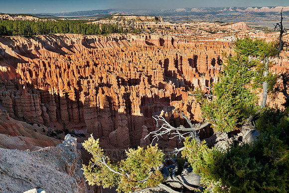 Bryce Canyon