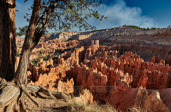 Bryce Canyon