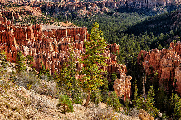 Bryce Canyon, Peekaboo trail