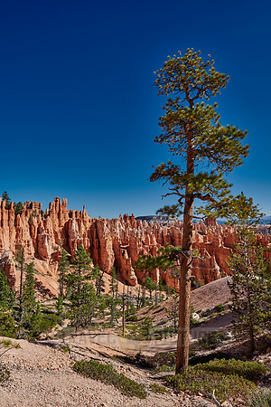 Bryce Canyon, Peekaboo trail