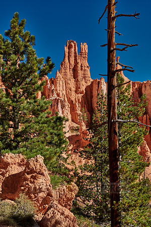 Bryce Canyon, Peekaboo trail