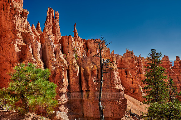 Bryce Canyon, Peekaboo trail