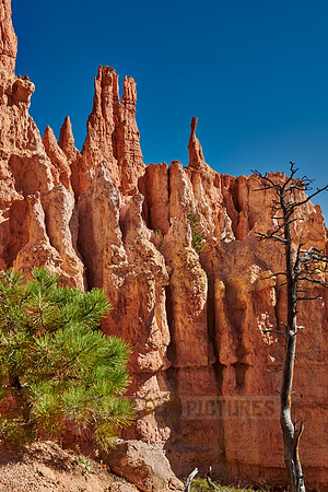 Bryce Canyon, Peekaboo trail