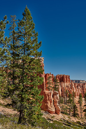 Bryce Canyon, Peekaboo trail