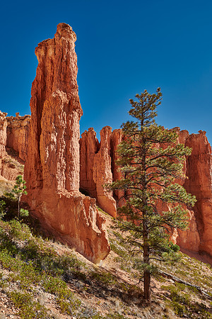 Bryce Canyon, Peekaboo trail