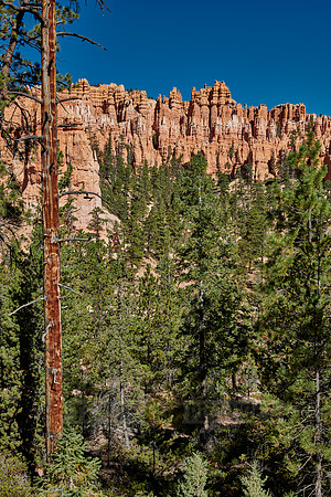 Bryce Canyon, Peekaboo trail