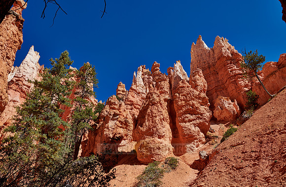 Bryce Canyon, Navajo Loop trail