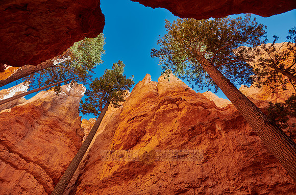 Bryce Canyon, Navajo Loop trail