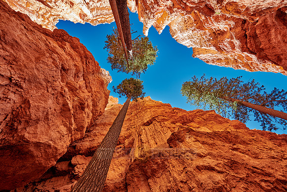 Bryce Canyon, Navajo Loop trail