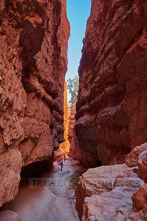 Bryce Canyon, Navajo Loop trail