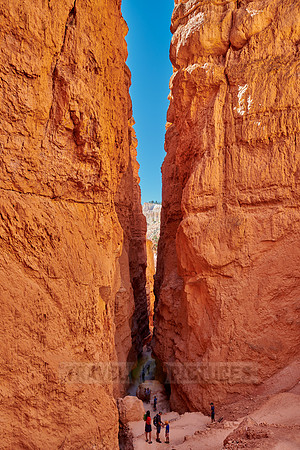 Bryce Canyon, Navajo Loop trail