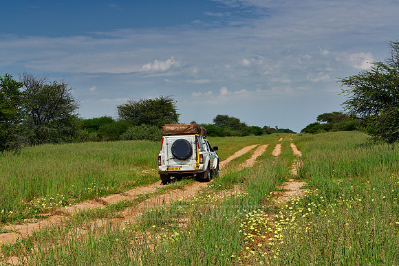 off-road on the way to Mabuasehube
