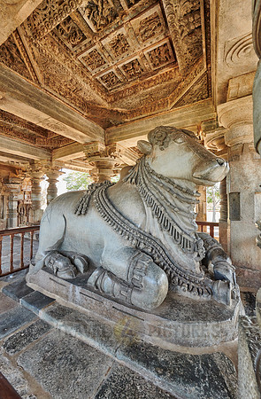 Halebid Hoysaleswara Jain temple