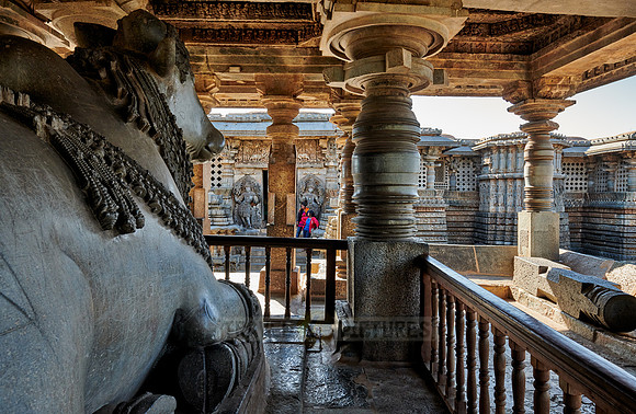 Halebid Hoysaleswara Jain temple