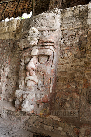 stone mask