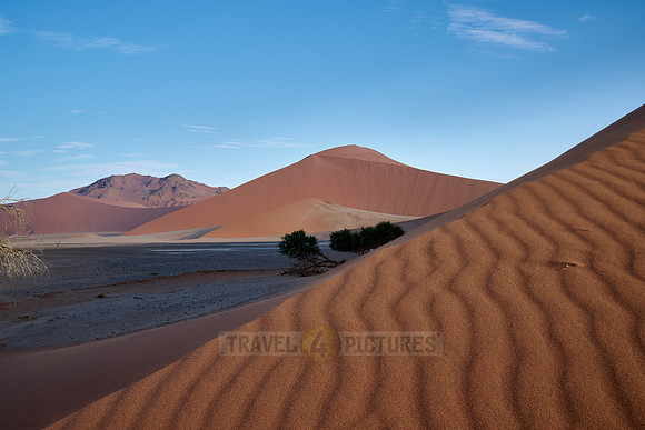 strong blowing wind over sand dunes of Namib desert