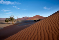 strong blowing wind over sand dunes of Namib desert