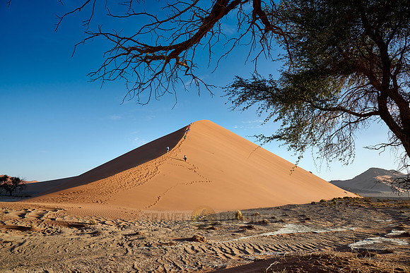 group of people climbing up sand dune of Namib desert