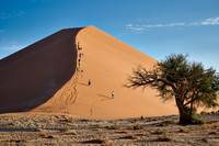 sand dune of Namib desert, Namibia 11-2023