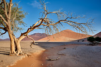 strong blowing wind over sand dunes of Namib desert