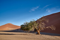 strong blowing wind over sand dunes of Namib desert