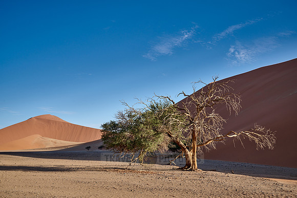strong blowing wind over sand dunes of Namib desert