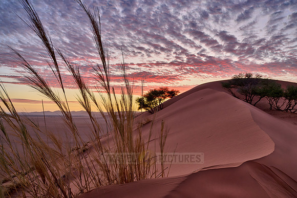 sunset over dunes of Namib desert