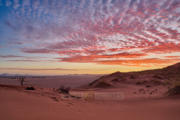 sunset over dunes of Namib desert