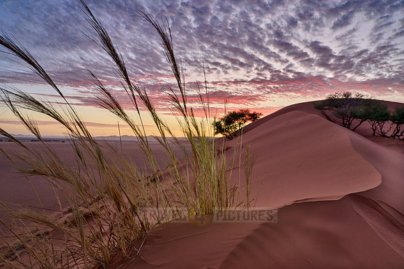 sunset over dunes of Namib desert