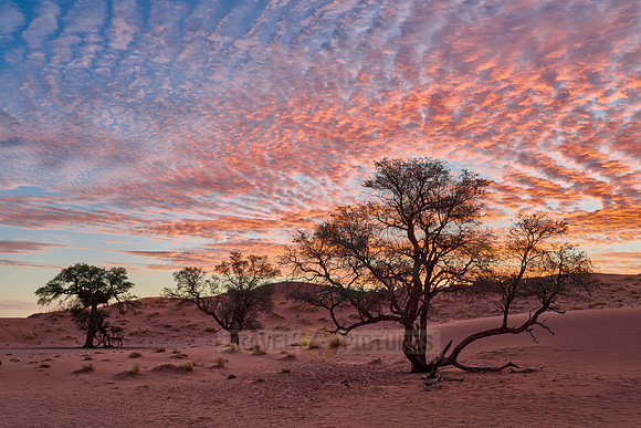 sunset over dunes of Namib desert