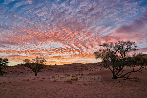 sunset over dunes of Namib desert