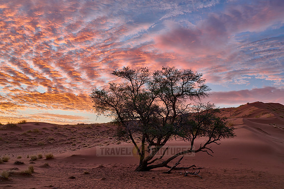 sunset over dunes of Namib desert