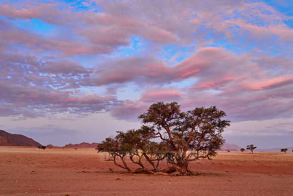 sunset over dunes of Namib desert