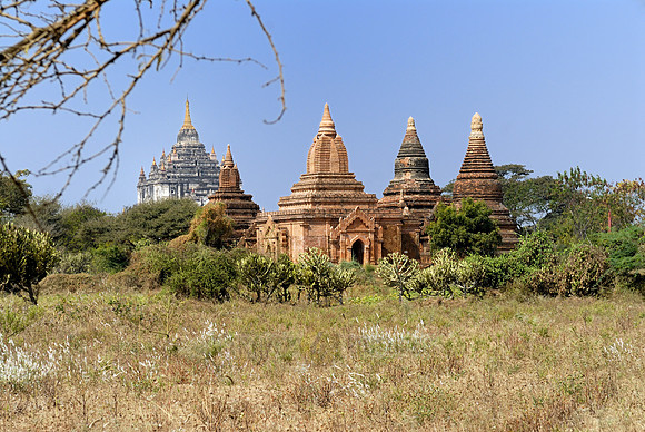 That-Byin-Nyu-Temple