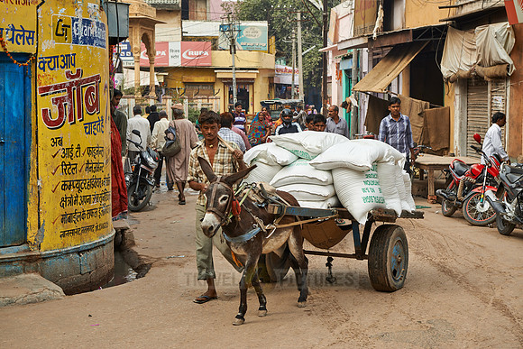Carriage with donkey in the street of Nawalgarh