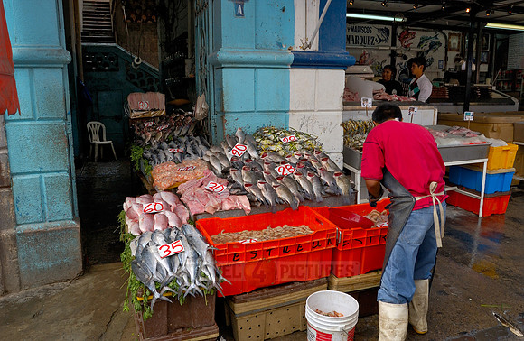 market stall with fish
