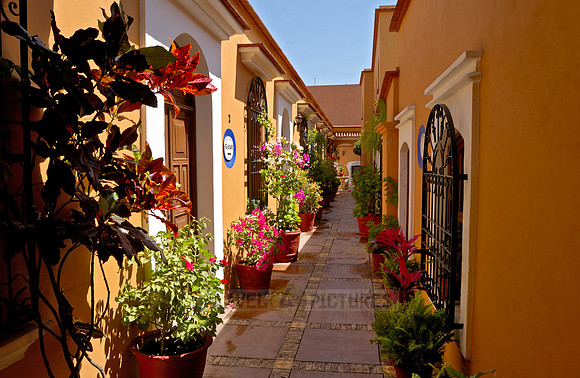 typical colonial house facades