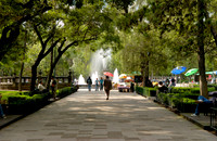 Park Alamenda Central