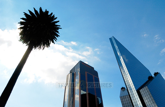 Centro Bursatil, Bolsa de Valores