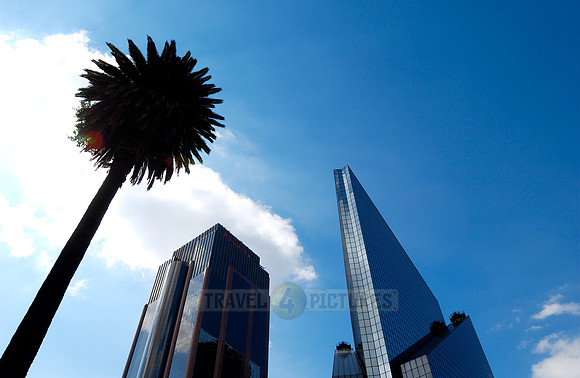 Centro Bursatil, Bolsa de Valores