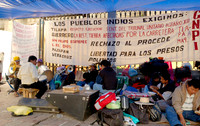 demonstrating indigenous people