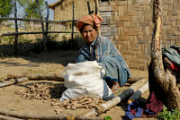trekking around Lake Inle