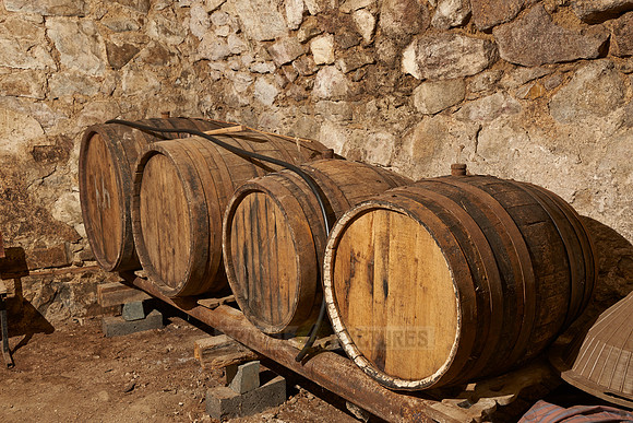wine barrels in cellar