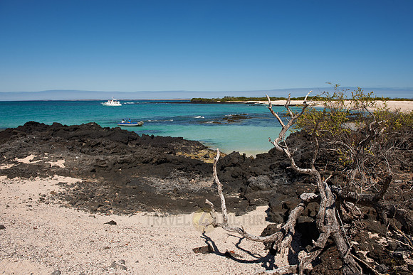 a beach of at Santa Cruz