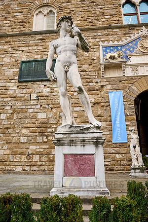 statue of David, Piazza della Signoria
